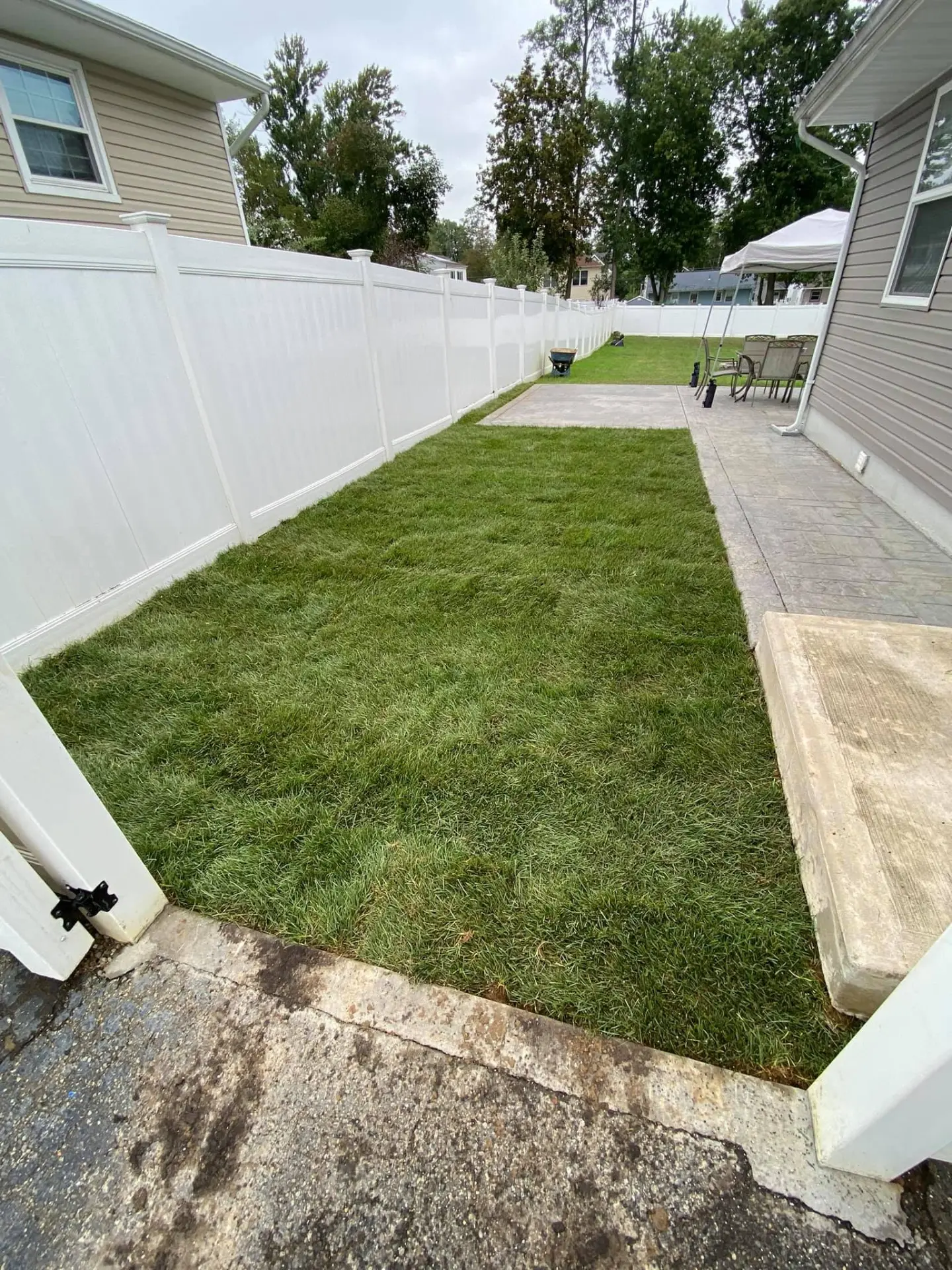Newly installed sod in a fenced side yard next to a stamped concrete patio