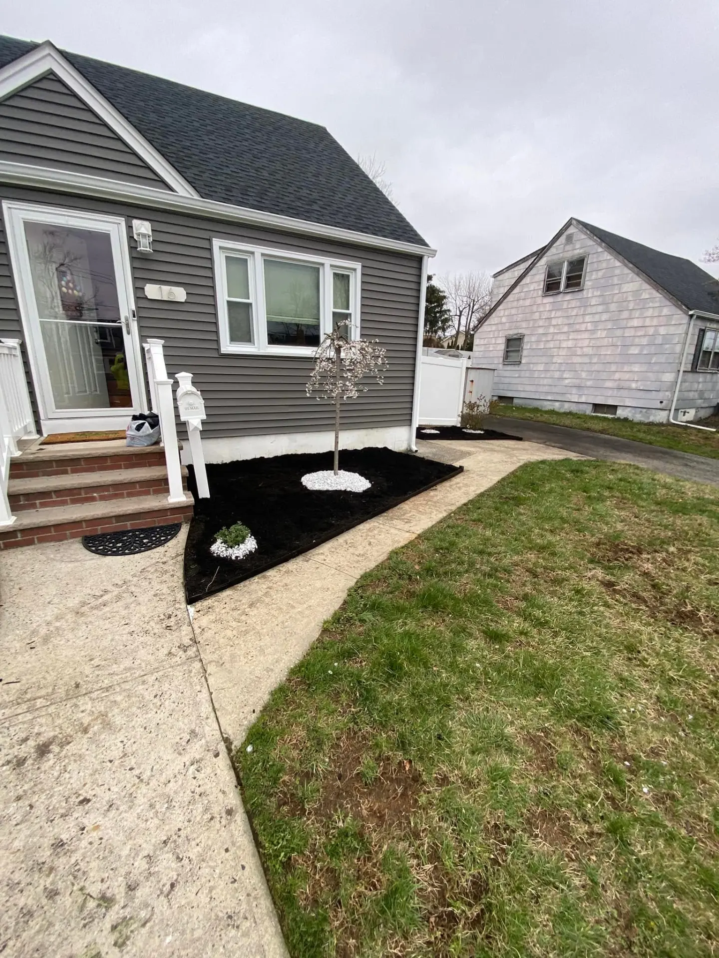 Fresh black mulch beds with a new ornamental tree at a front entry